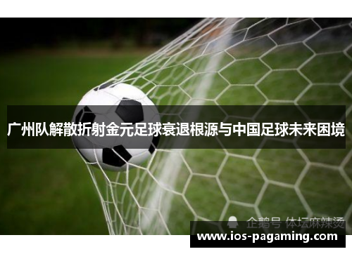 广州队解散折射金元足球衰退根源与中国足球未来困境 广州队解散折射金元足球衰退根源与中国足球未来困境
