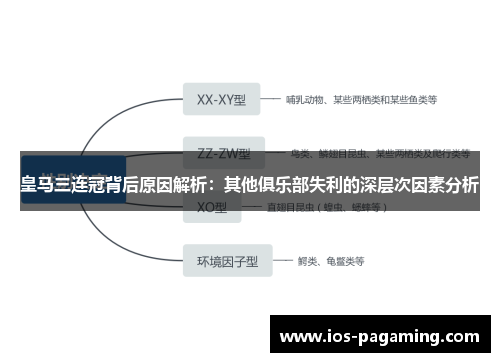 皇马三连冠背后原因解析:其他俱乐部失利的深层次因素分析 皇马三连冠背后原因解析:其他俱乐部失利的深层次因素分析