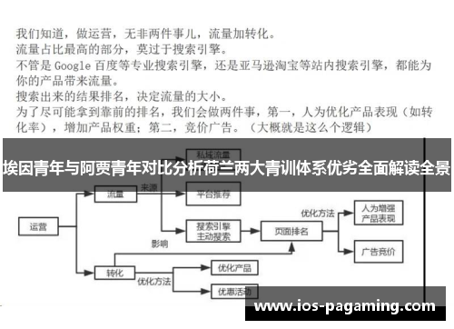 埃因青年与阿贾青年对比分析荷兰两大青训体系优劣全面解读全景 埃因青年与阿贾青年对比分析荷兰两大青训体系优劣全面解读全景